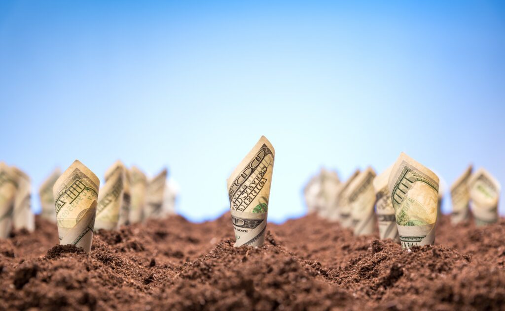What is Tax Loss Harvesting